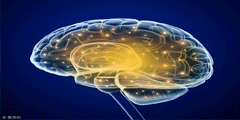 互联网大脑进化简史，类脑智能巨系统产生与兴起